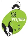 Logo de Peluquería canina